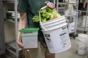 Bucket of lettuce
