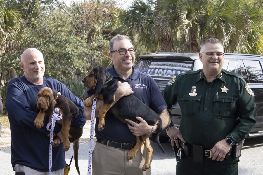Two men hold bloodhound puppies while standing next to the Brevard County Sheriff.