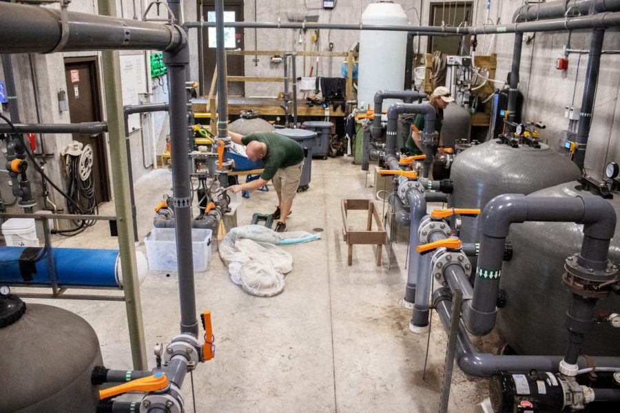 Our Life Support Systems team works in our Rainforest Revealed pumphouse.