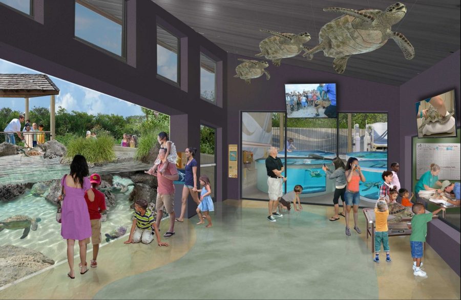 Illustrated rendering of inside of sea turtle care complex with glass viewing of patients and aquarium