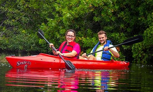 Two people are kayaking in the wetlands.