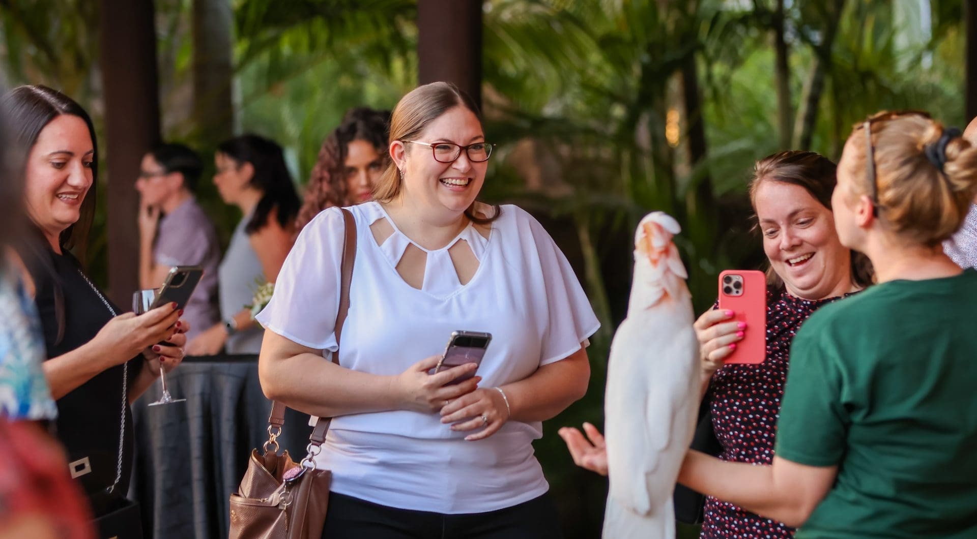 Three women are taking pictures with their cell phones of a white macaw during an event.