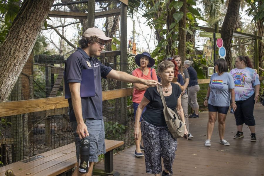 A tour group explores Rainforest Revealed.