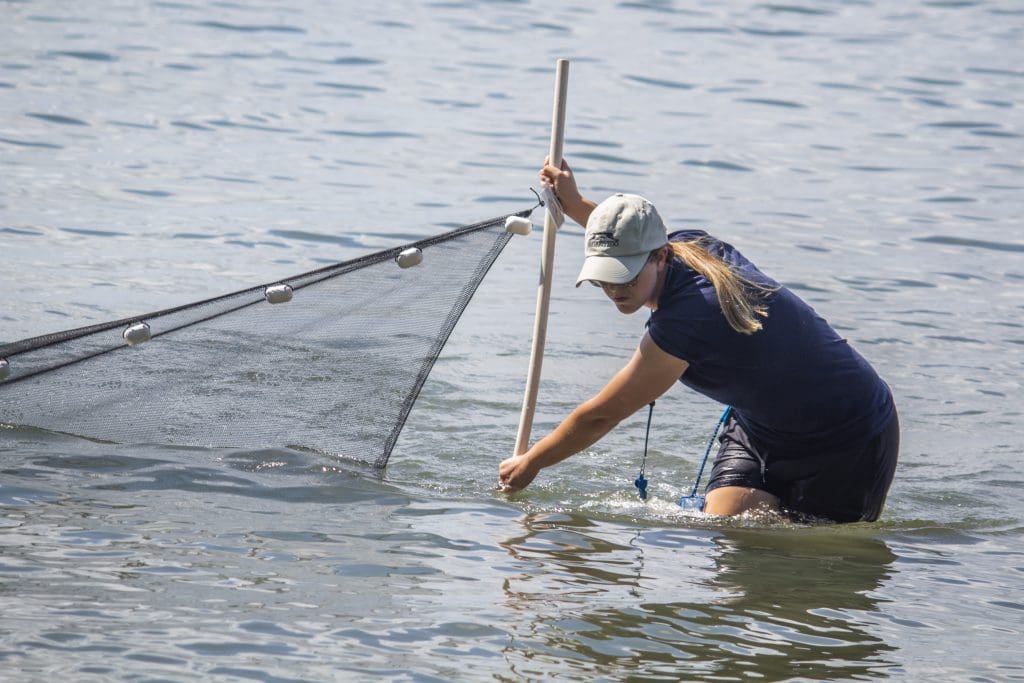 A student seins in the Indian River Lagoon.