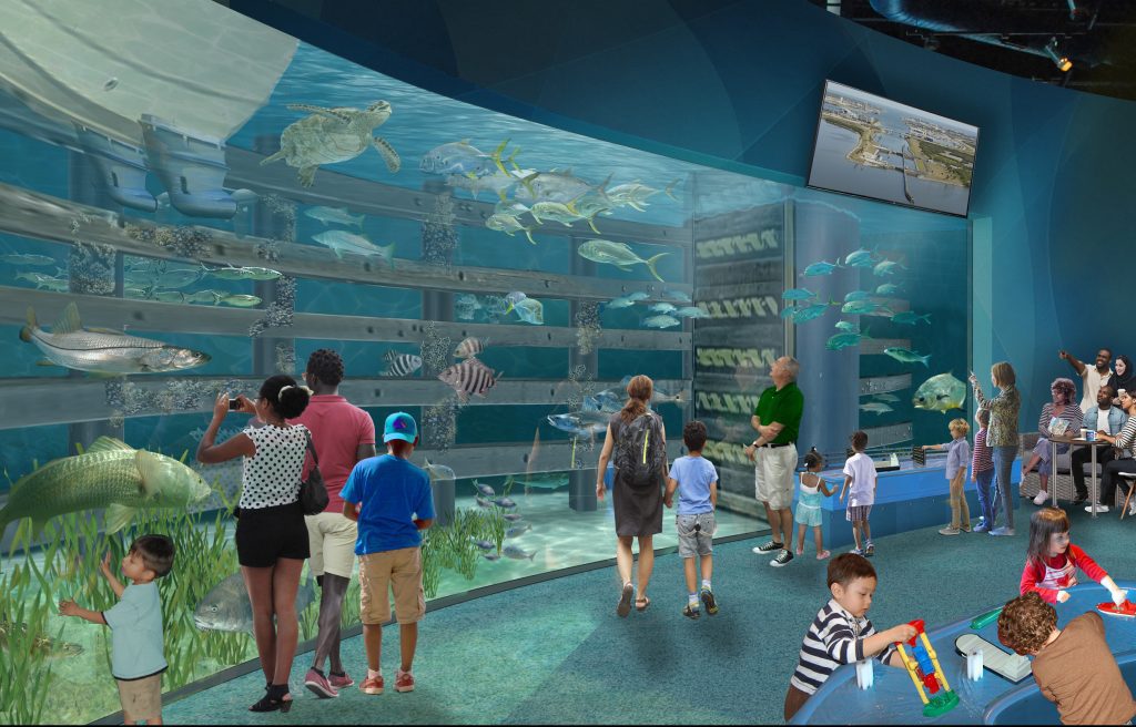 Illustrated rendering of people see marine life swimming in the locks system from Port Canaveral