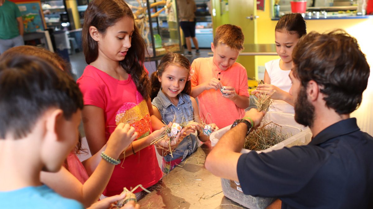 homeschool group working with straw