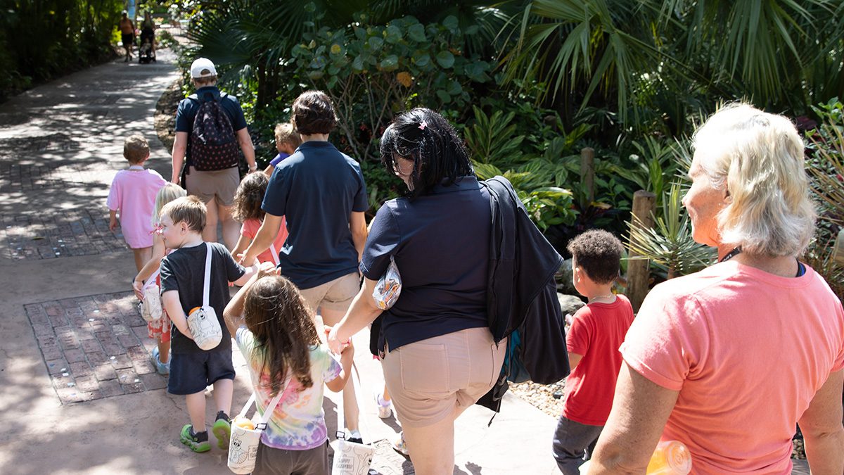 school group walking through the Zoo