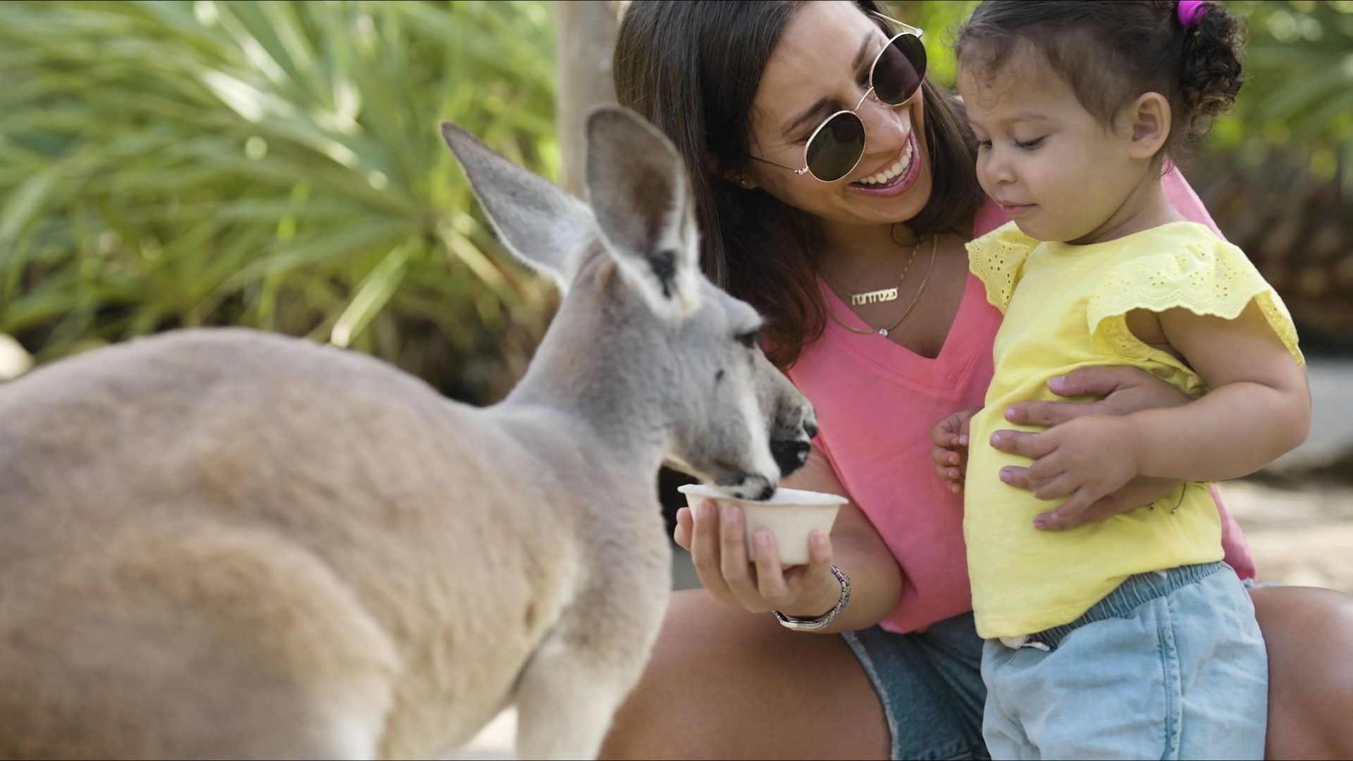 mother and daughter feeding a kangaroo