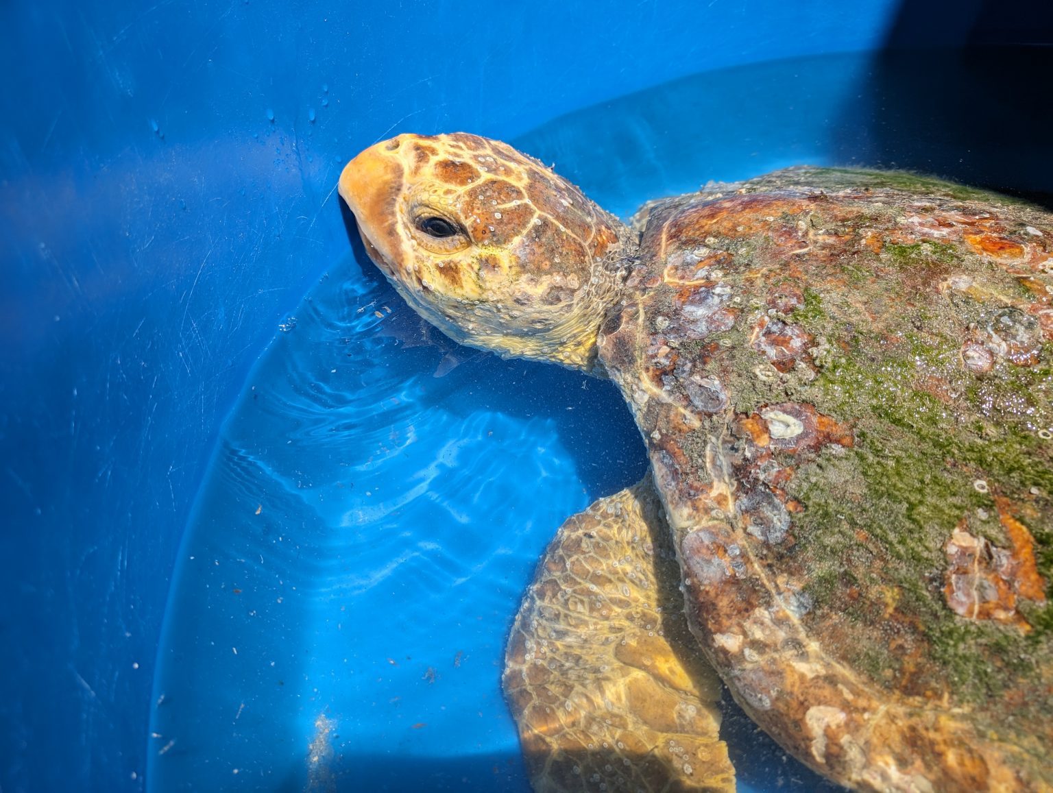 Brevard Zoo Blog | Take a Peek Behind the Scenes