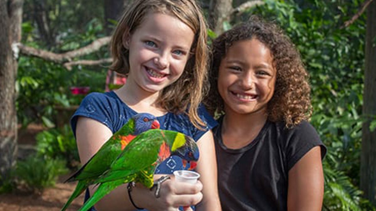 two girls smiling while one is feeding two lorikeet nectar from a cup