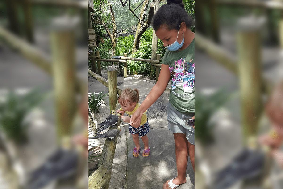 two young girls feeding birds seed sticks