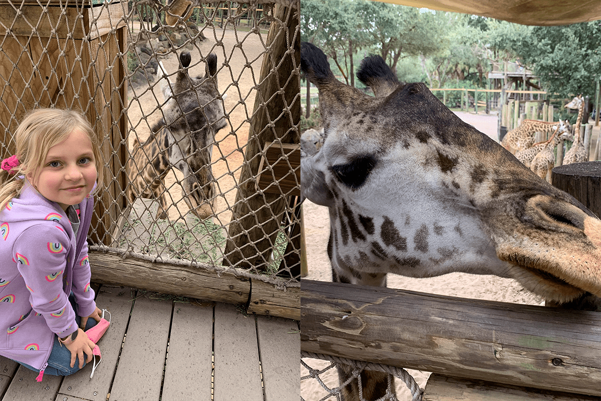 girl posing with milenna the giraffe