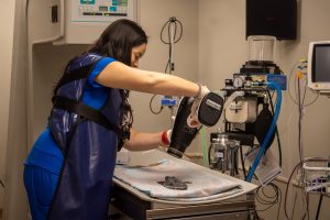 a woman scans a sea turtle for an x-ray