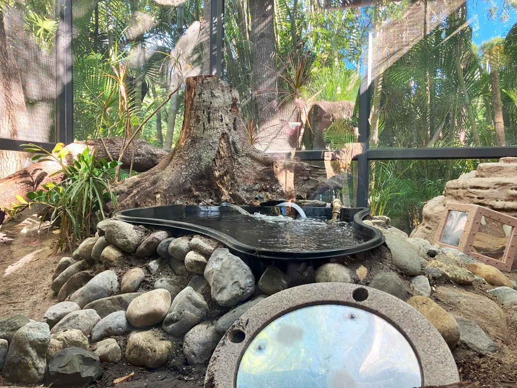 Revamping Our Python Habitat - Brevard Zoo