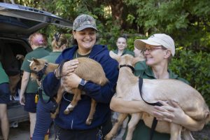 Two people cradle two goats.