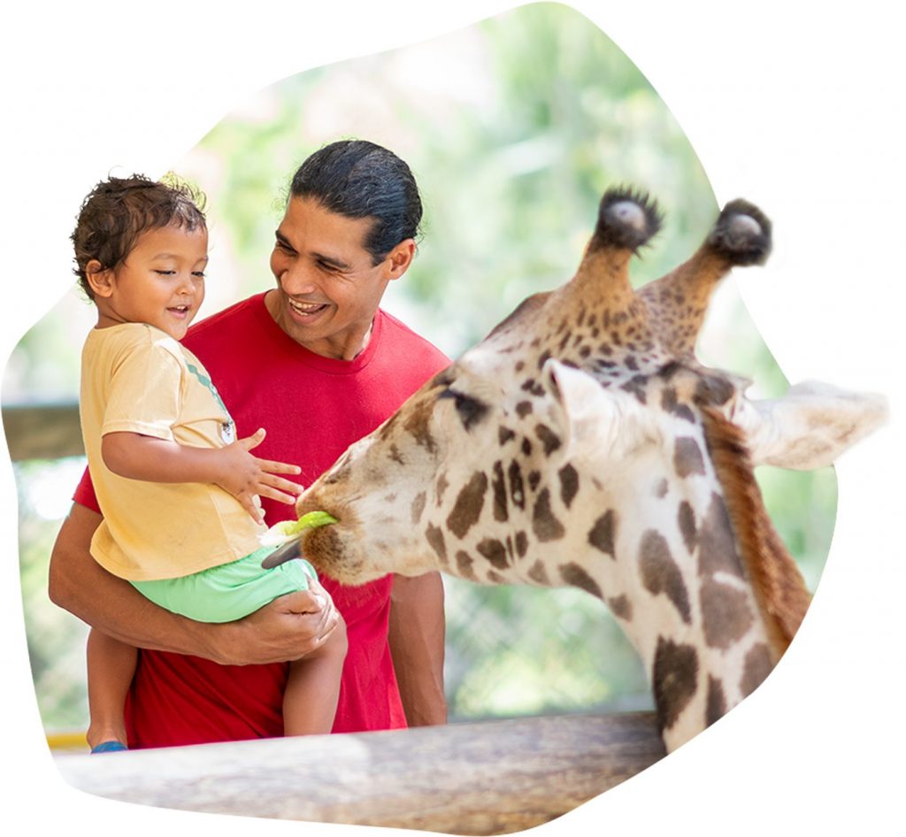 1440x1440_HomePage_GiraffeFeeding.jpg