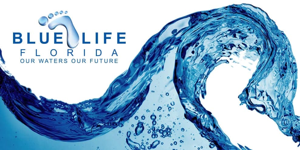 Blue Life Florida