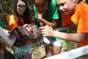 Children touching a snake