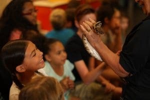 Children touching animal