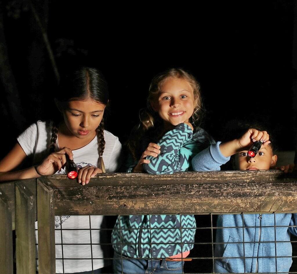 Three girls with flashlights during night hike
