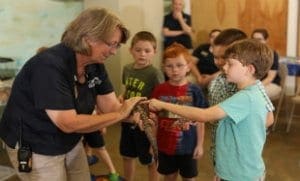 Education specialist introducing children to animal