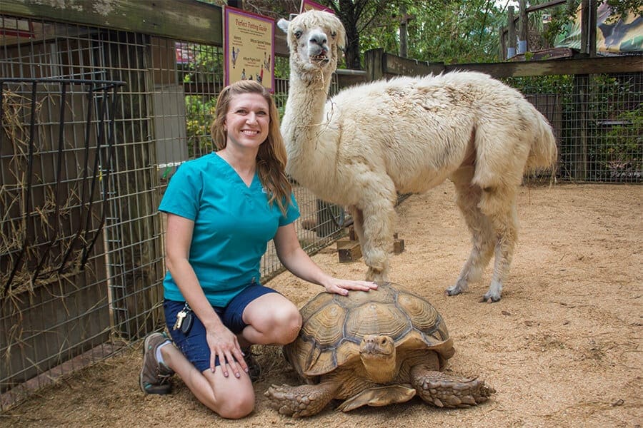 Vet Tech Kristi with alpaca and tortoise