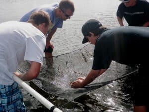 Group looks at net in the lagoon