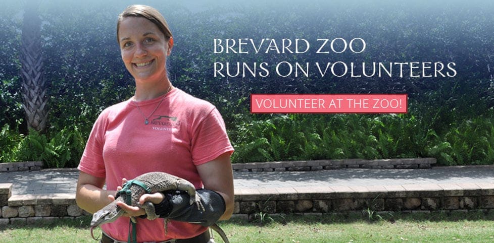 Volunteer at Brevard Zoo