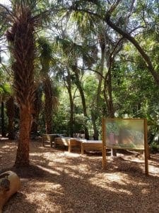 Wooded play area