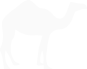Dromedary camel silhouette