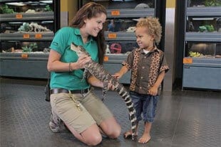 child petting gator