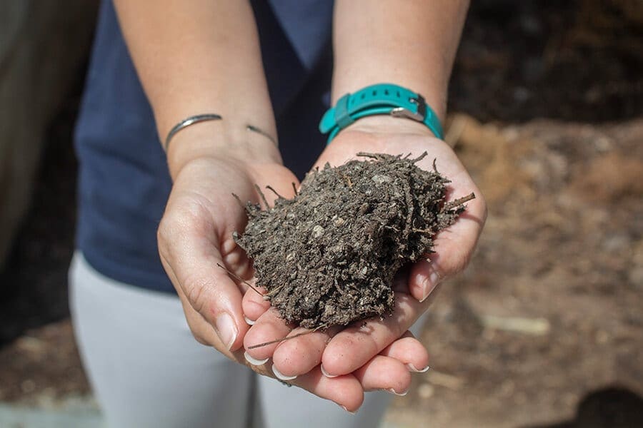 A small pile of compost resting in a pair of hands