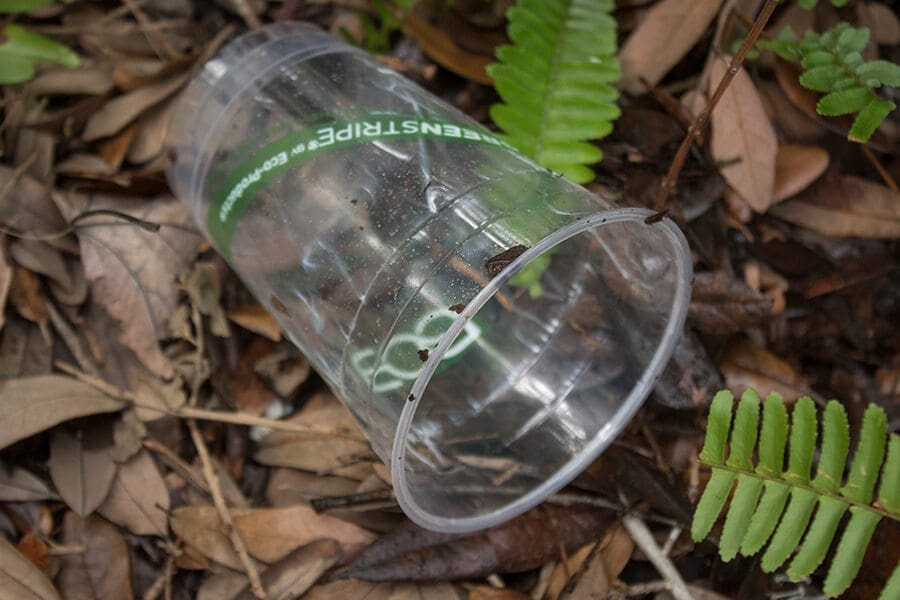 Plant-based compostable cup