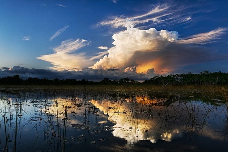 Everglades National Park wetlands