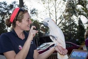 Goofy the salmon-crested cockatoo and keeper