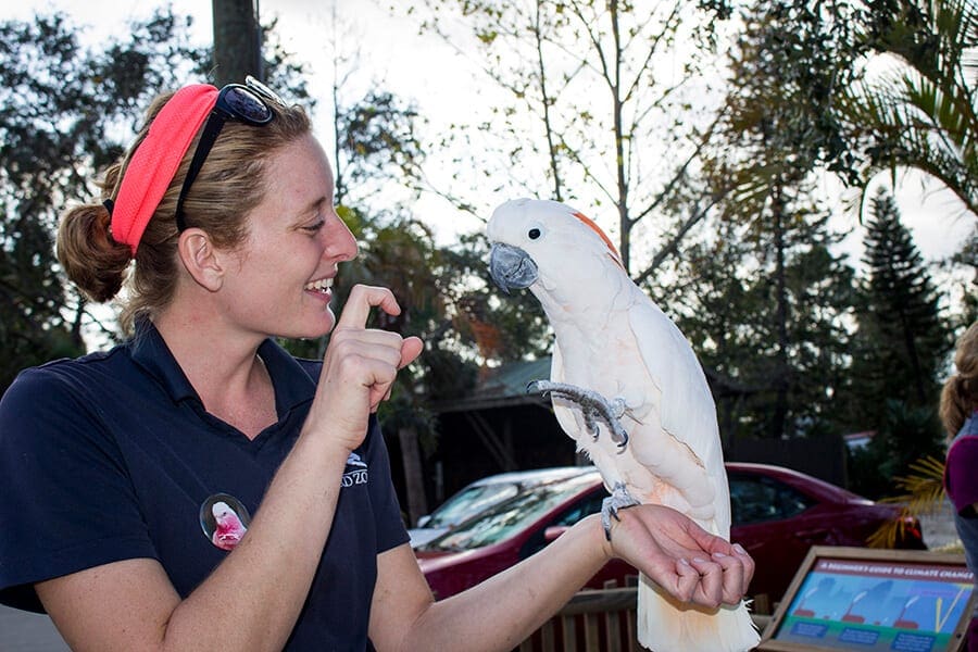 Zookeeper Michelle and Goofy the salmon-crested cockatoo