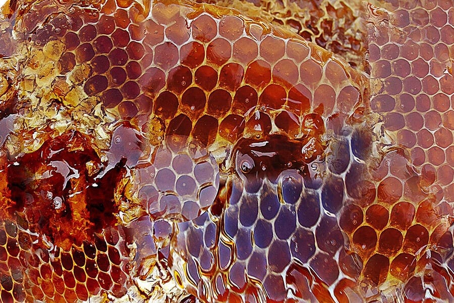 Beehive and raw honey