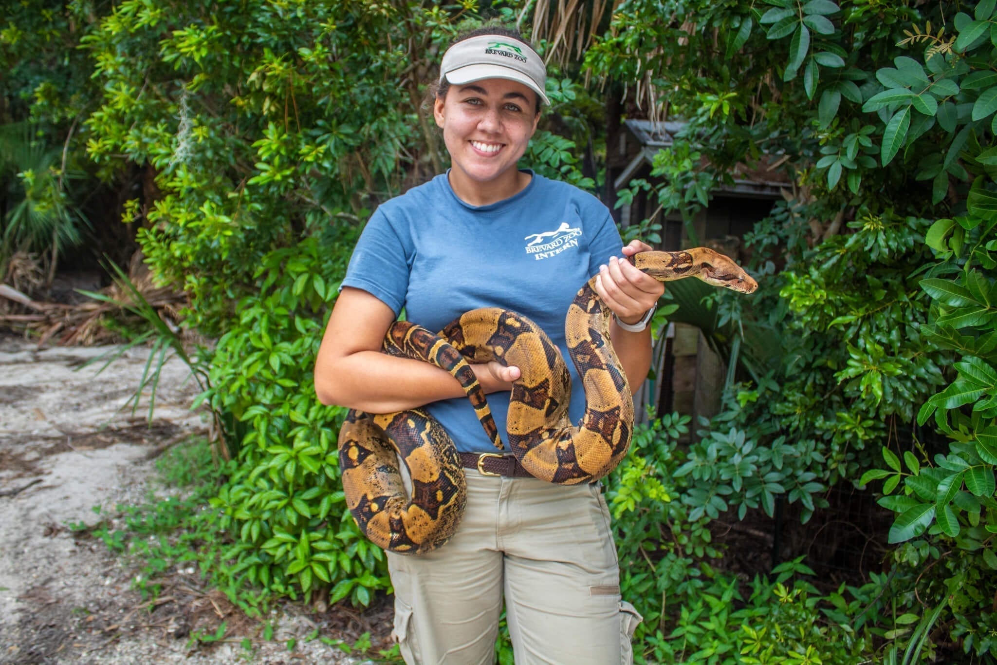 Zoo intern holding snake