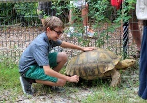 Member petting tortoise