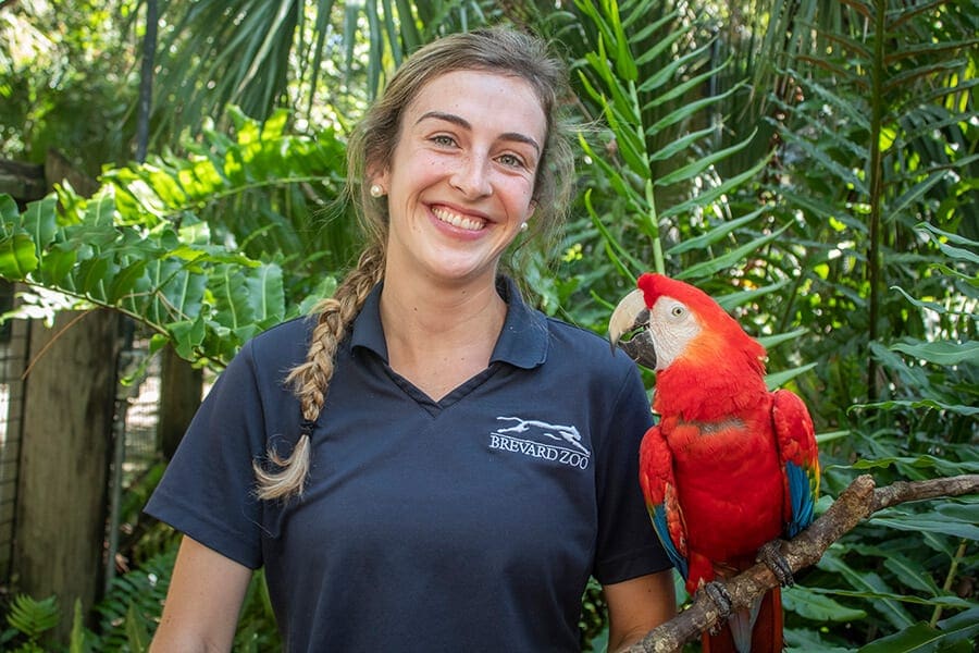 Julie with Gizmo the scarlet macaw