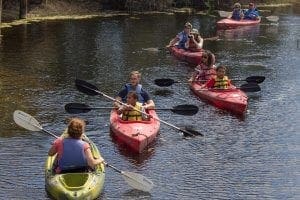 Guests on kayak tour