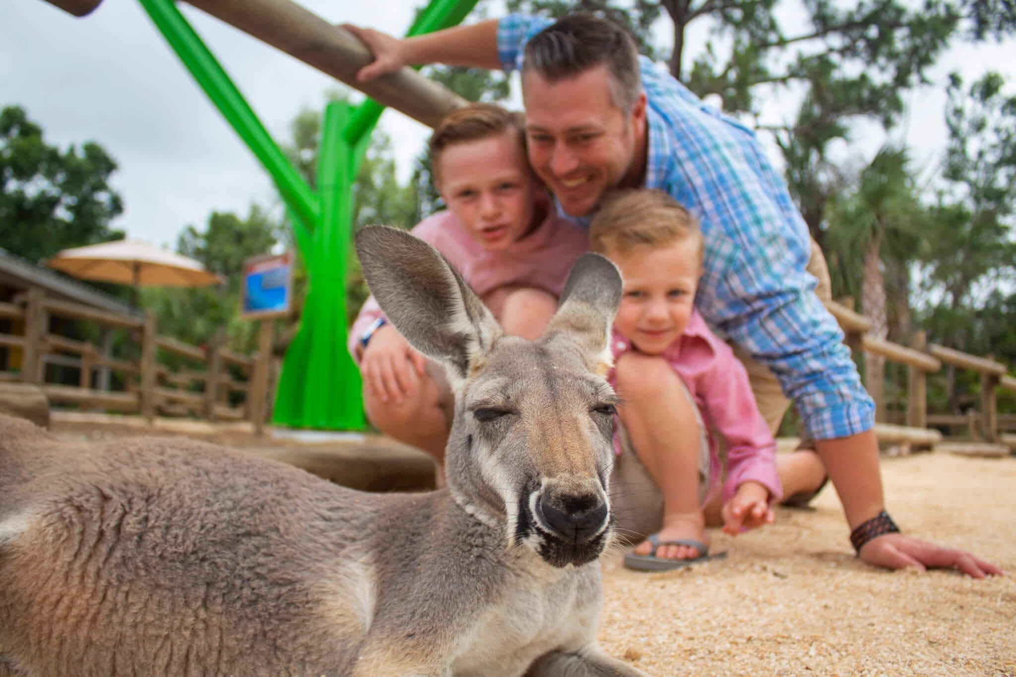 Family looking at kangaroo