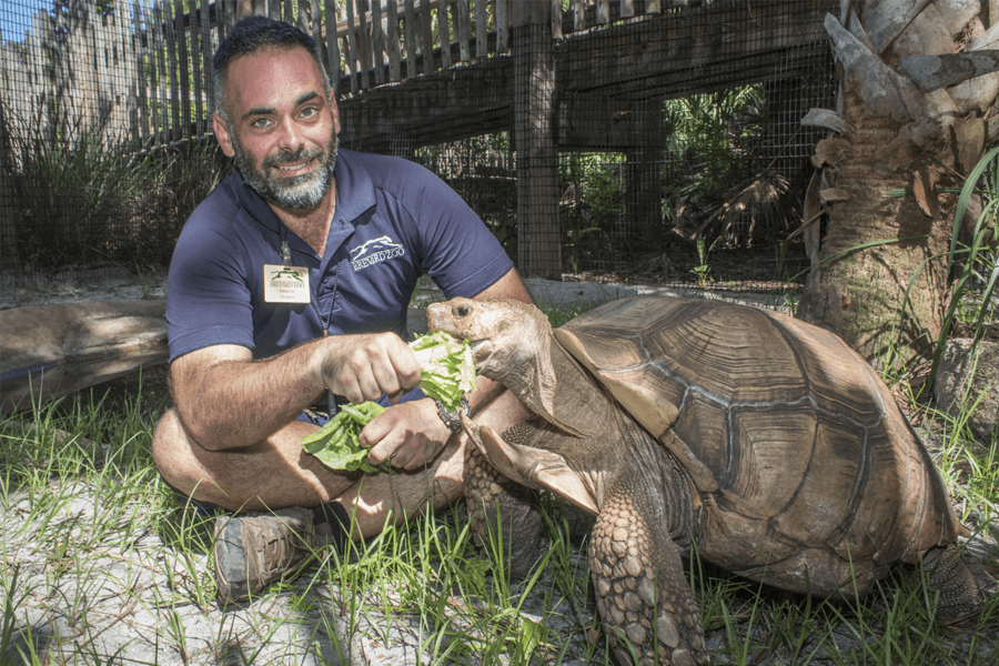 Sebastian with Tate the African spurred tortoise