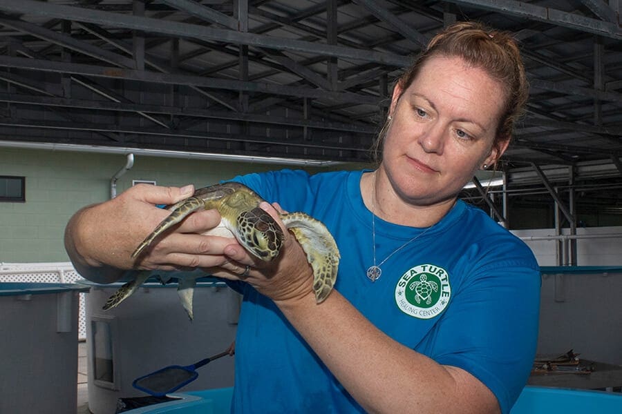 Meet Our New Sea Turtle Program Manager | Brevard Zoo Blog