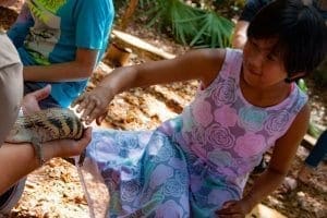 Young girl petting a reptile