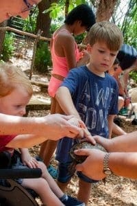 Children petting a turtle