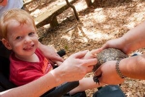 Child meeting box turtle